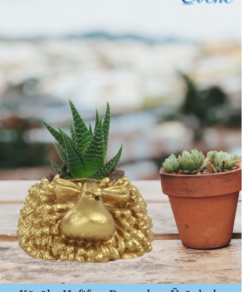 Mini Çiçek Saksı Küçük Sukulent Altın Kaktüs Saksısı 3lü Set Koyun Model